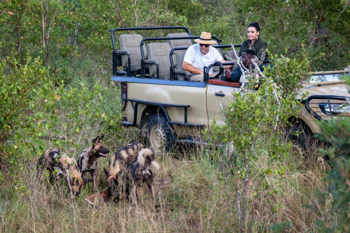 Leopard Hills Private Game Reserve Резерват Саби Сенд Гейм Екстериор снимка