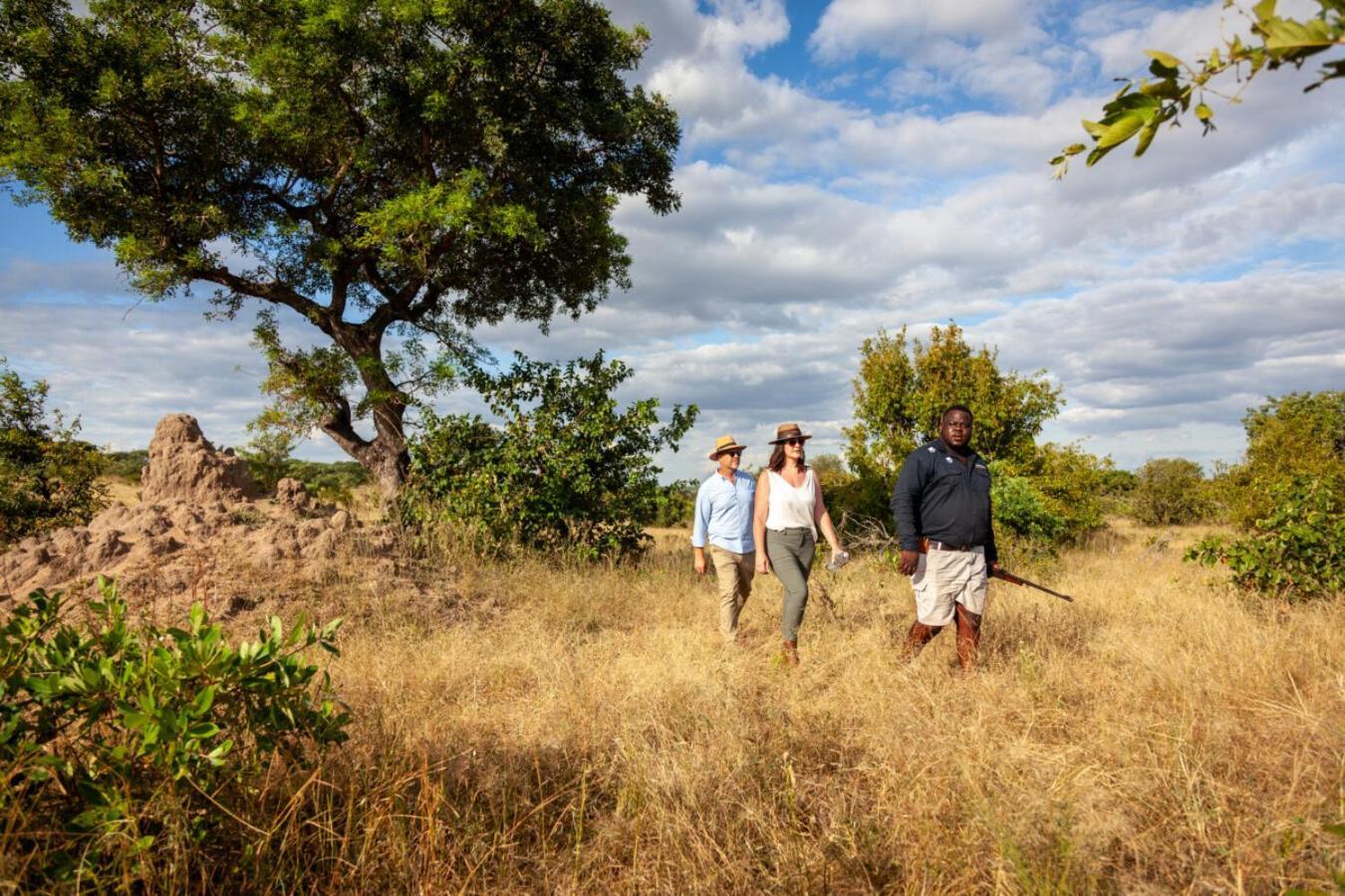 Leopard Hills Private Game Reserve Резерват Саби Сенд Гейм Екстериор снимка