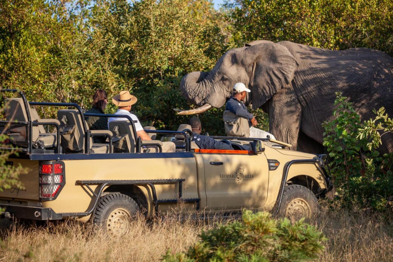 Leopard Hills Private Game Reserve Резерват Саби Сенд Гейм Екстериор снимка