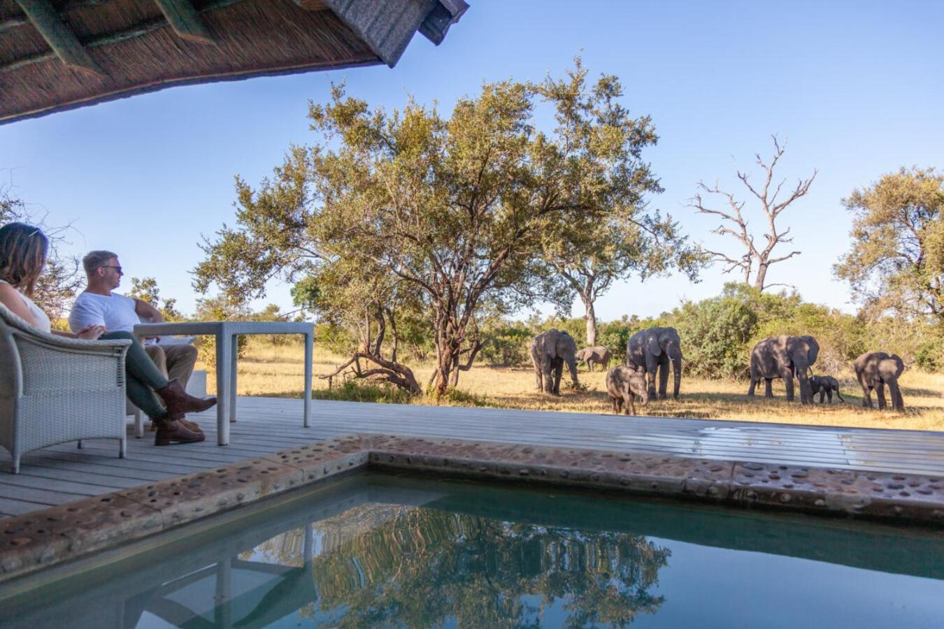 Leopard Hills Private Game Reserve Резерват Саби Сенд Гейм Екстериор снимка