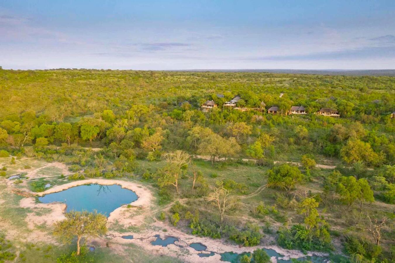 Leopard Hills Private Game Reserve Резерват Саби Сенд Гейм Екстериор снимка