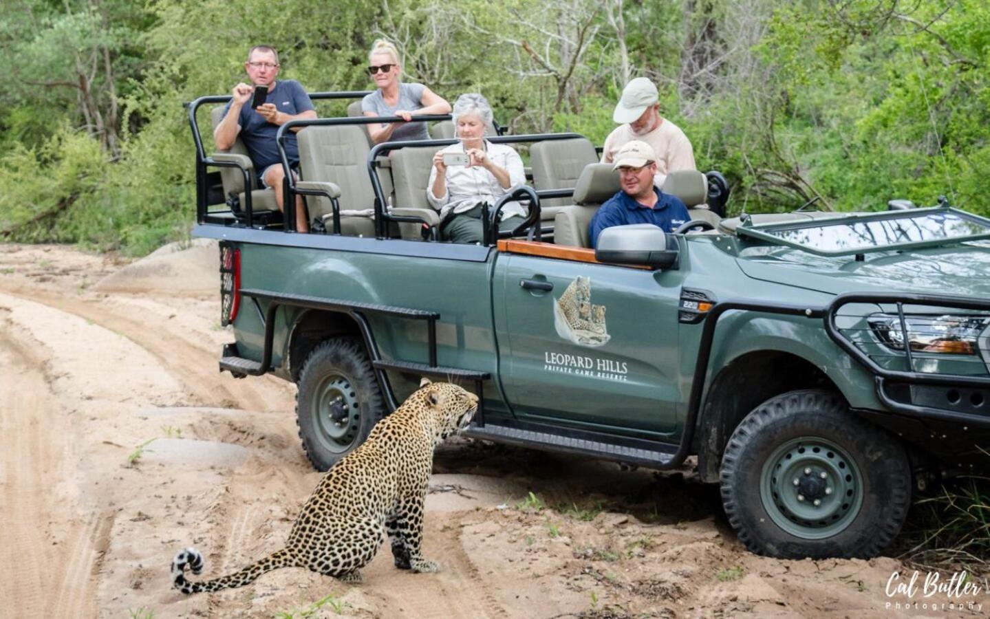 Leopard Hills Private Game Reserve Резерват Саби Сенд Гейм Екстериор снимка