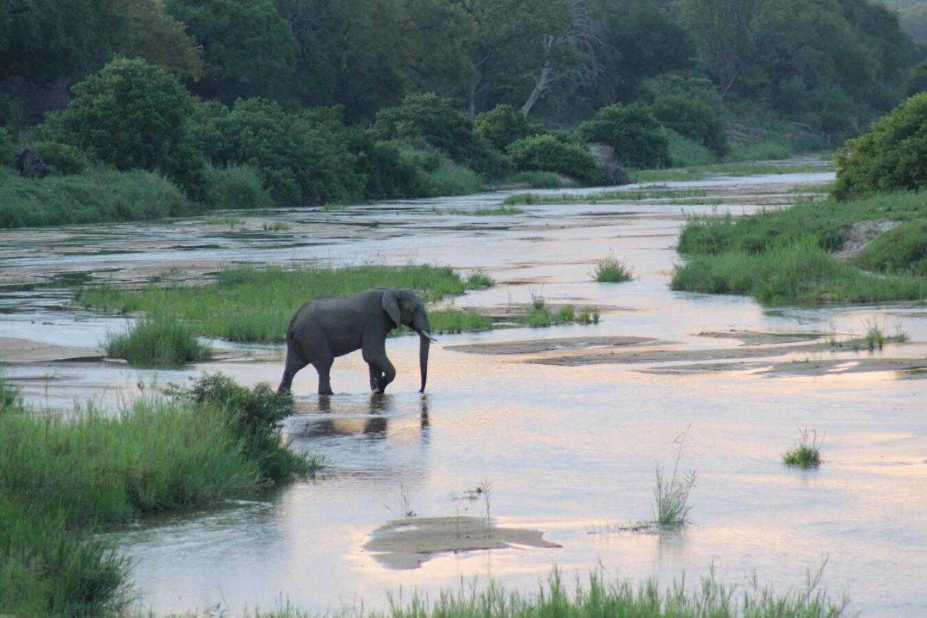 Leopard Hills Private Game Reserve Резерват Саби Сенд Гейм Екстериор снимка