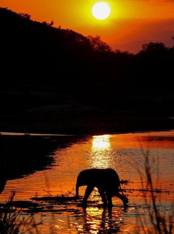 Leopard Hills Private Game Reserve Резерват Саби Сенд Гейм Екстериор снимка